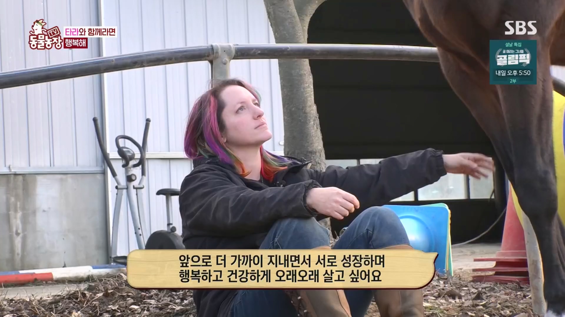 TV 동물농장.E1158.240211p.H264-F1RST.mp4_20240211_194102.232.jpg