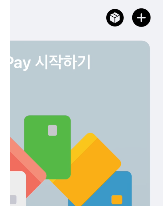 Apple Pay