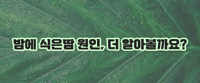 잠잘 때 식은땀 흘리는 이유, 혹시 궁금하신가요?