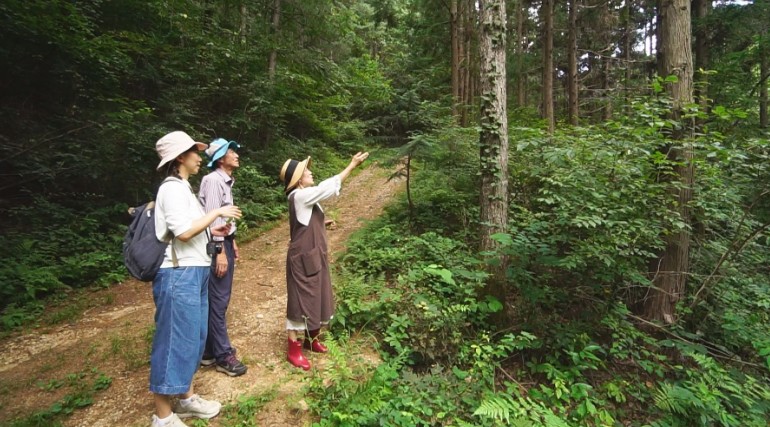 한국기행-충북영동-편백숲의성찬