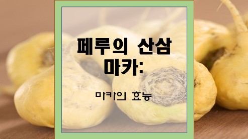 페루의-산삼-마카