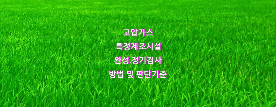  고압가스 특정제조시설 완성,정기검사 방법 및 판단기준