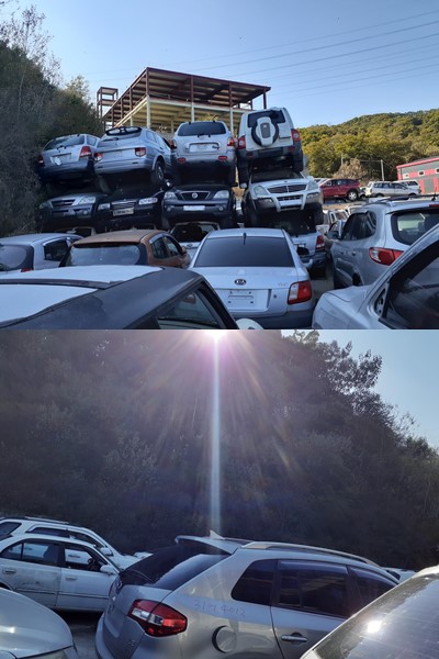  모하비 조기폐차와 관련된 모든 정보