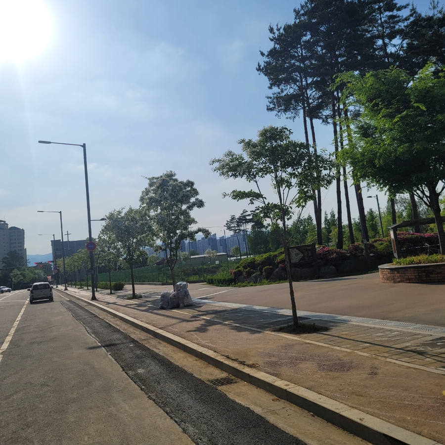 가로수, 흰 꽃, 잎사귀 나무를 아시나요? 7