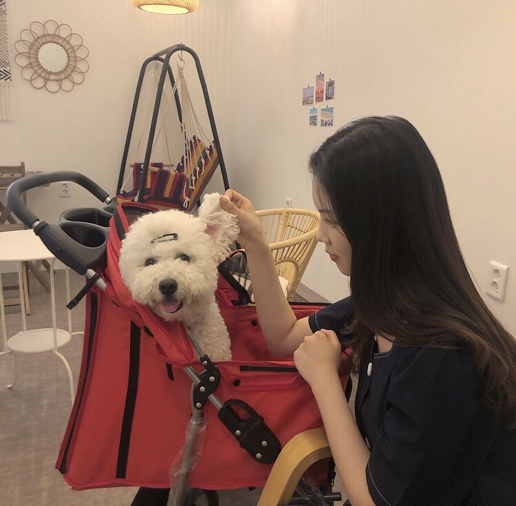 코코부코 이미지