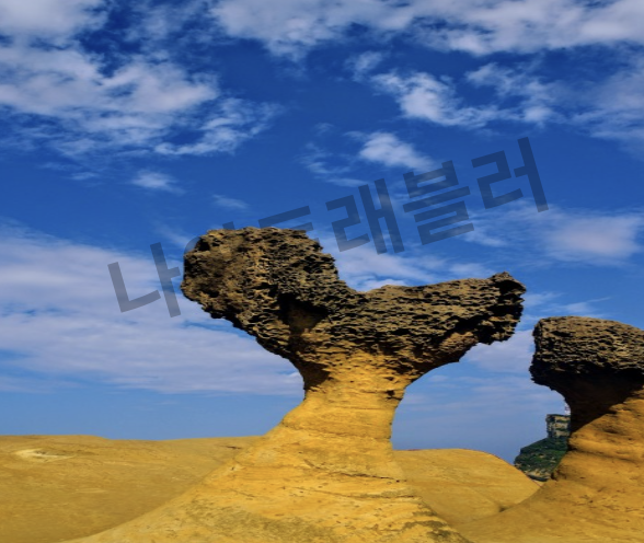 대만여행 비용