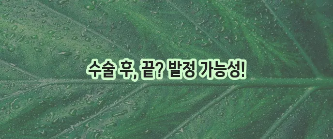 고양이 중성화수술 후 발정 꼼꼼히 이해하고 관리해야 합니다!