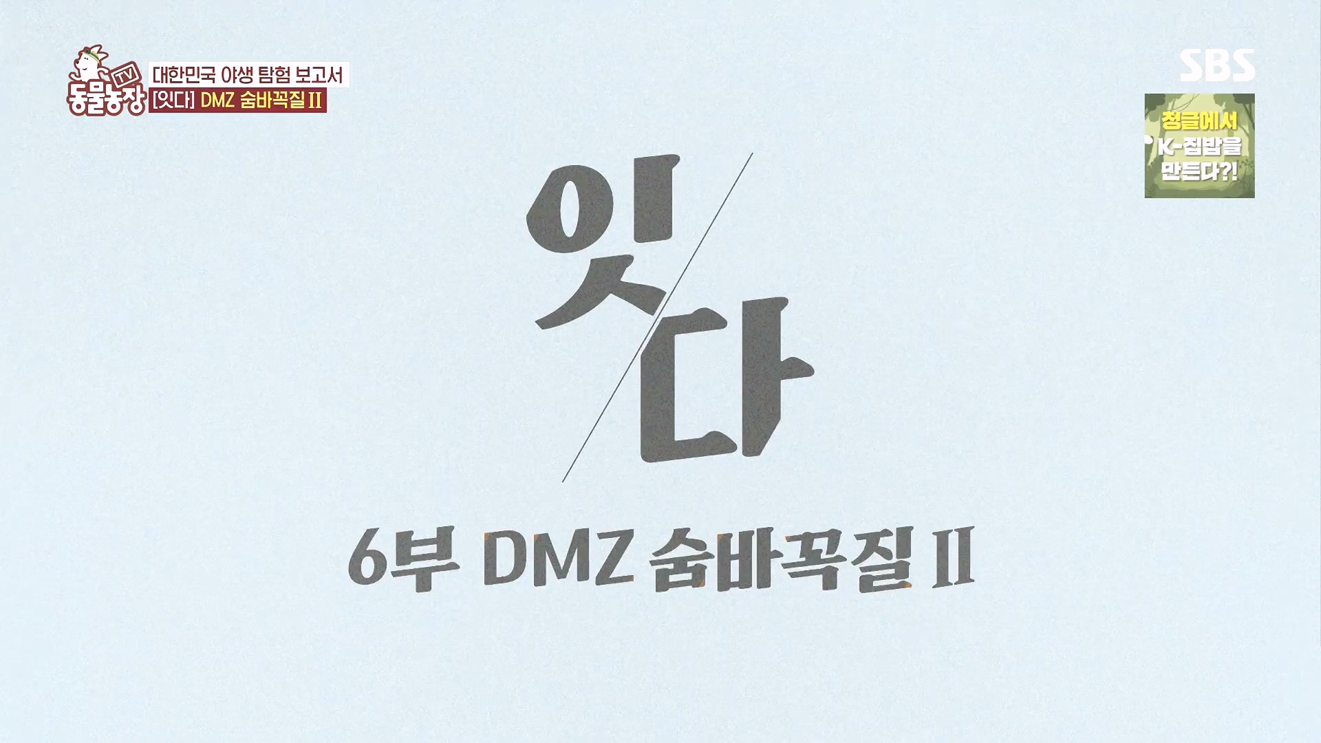 TV 동물농장.E1185.240818p.H264-F1RST.mp4_20240818_160353.685.jpg