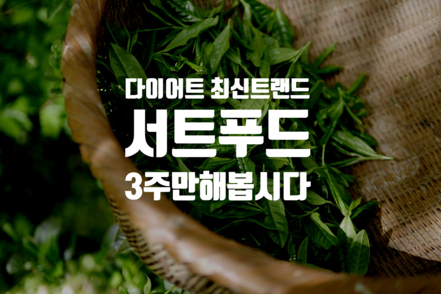  서트푸드 : 트랜디한 다이어트 (아델 45kg 감량 다이어트)