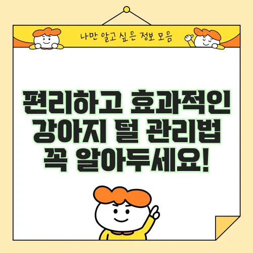 편리하고 효과적인 강아지 털 관리법 꼭 알아두세요!