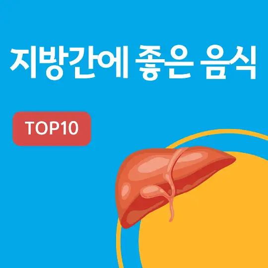 지방간에 좋은 음식 TOP10