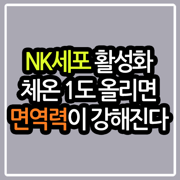 NK세포