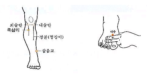 발등의 주요 혈자리