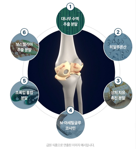 옵티머스트 관절 효능 후기 가격 부작용