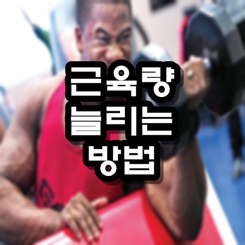  근육량 늘리는 방법