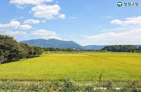 고인돌공원