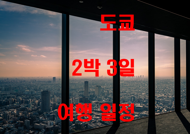  도쿄 2박 3일 여행 일정