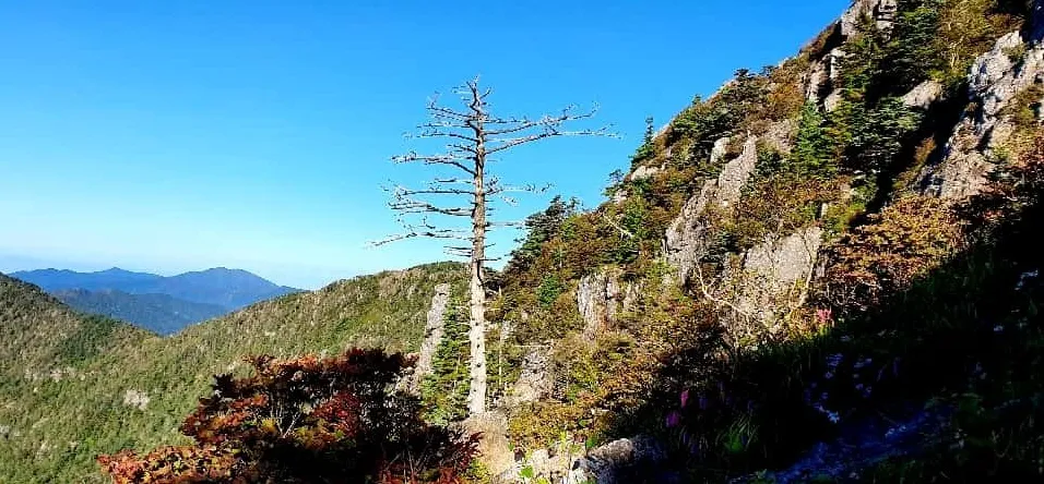 지리산 가을 마중 산행