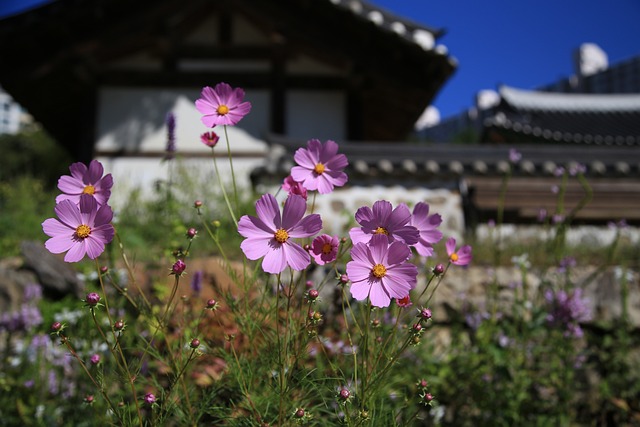 도산서원