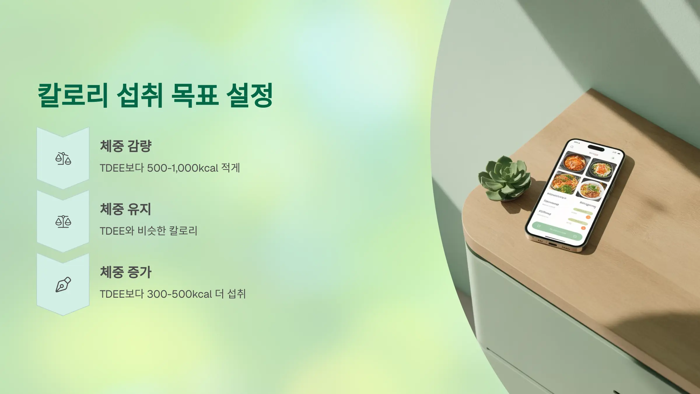 칼로리 섭취 목표 설정