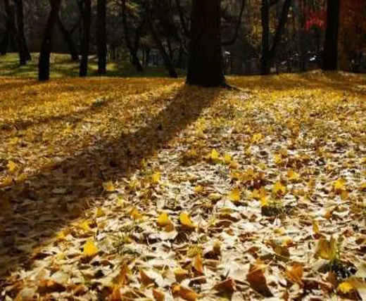 속리산사내리야영장