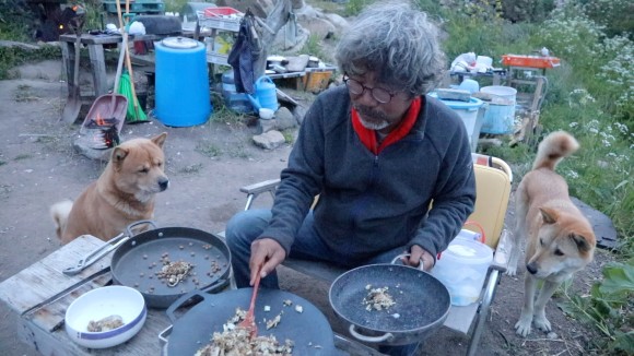 동물극장 절친 이용오 반려견, 동해, 동해, 동해, 자연제작, 아일랜드 위치 19차 동물극장 절친 황도, 동해, 동해, 아일랜드 블루스 촬영지 6월 4일 11