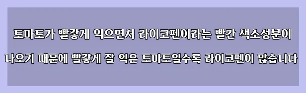  토마토가 빨갛게 익으면서 라이코펜이라는 빨간 색소성분이 나오기 때문에 빨갛게 잘 익은 토마토일수록 라이코펜이 많습니다