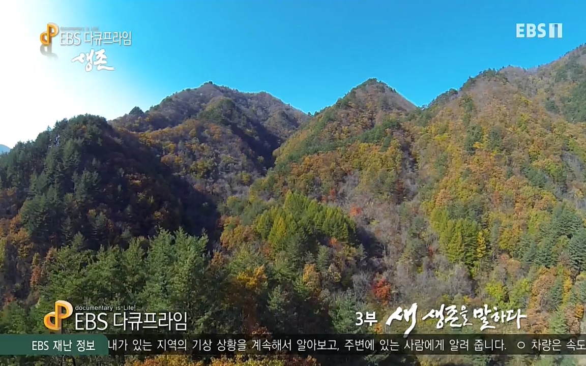 생존 3부_ EBS 다큐프라임_ 220629.avi_20220701_210802.184.jpg