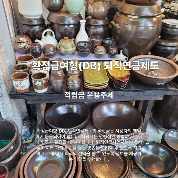 확급여형 퇴직연금제도의 적립금 운용주체를 설명하는 썸네일