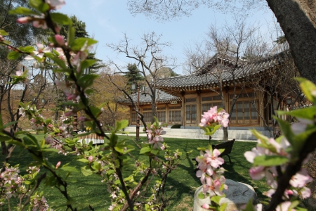 청와대 관람 