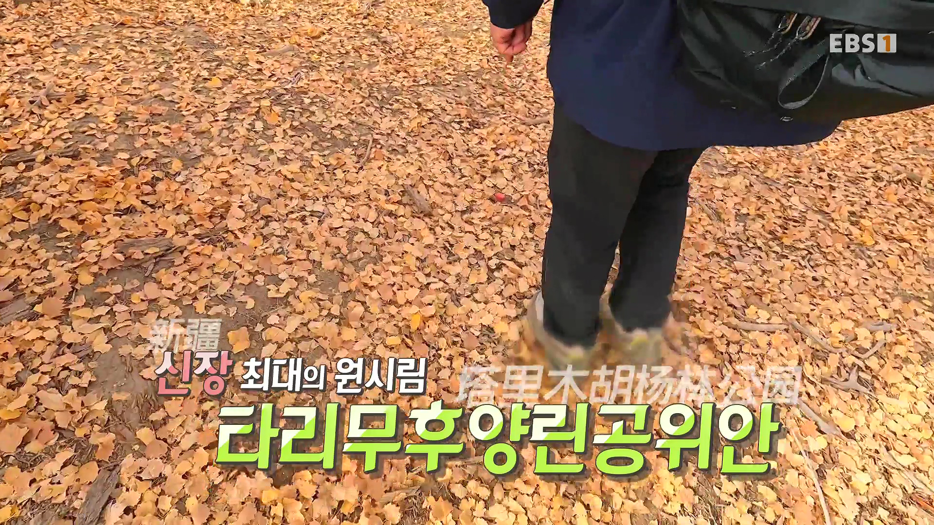 세계테마기행 240103 신장웨이우얼, 서역(西域)으로 가다! -가자! 타클라마칸으로0p.mp4_20240710_201124.557.jpg