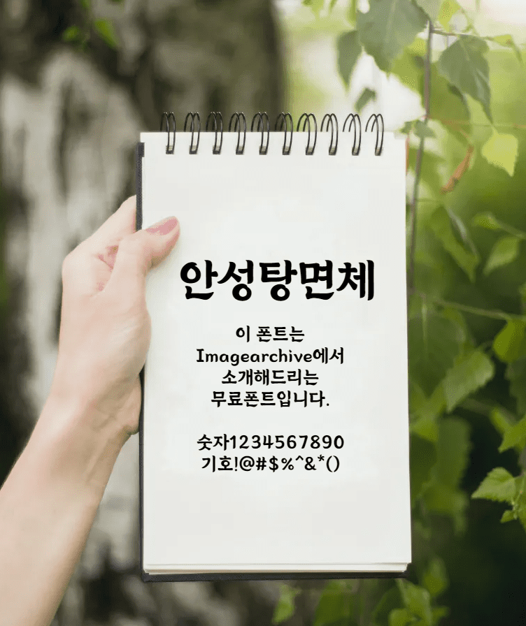 안성탕면체 - 농심에서 제공하는 안성탕면의 그 글씨체 무료폰트 다운로드