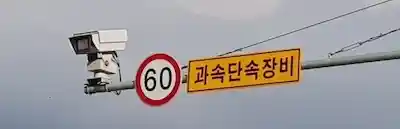 교통위반 단속 5