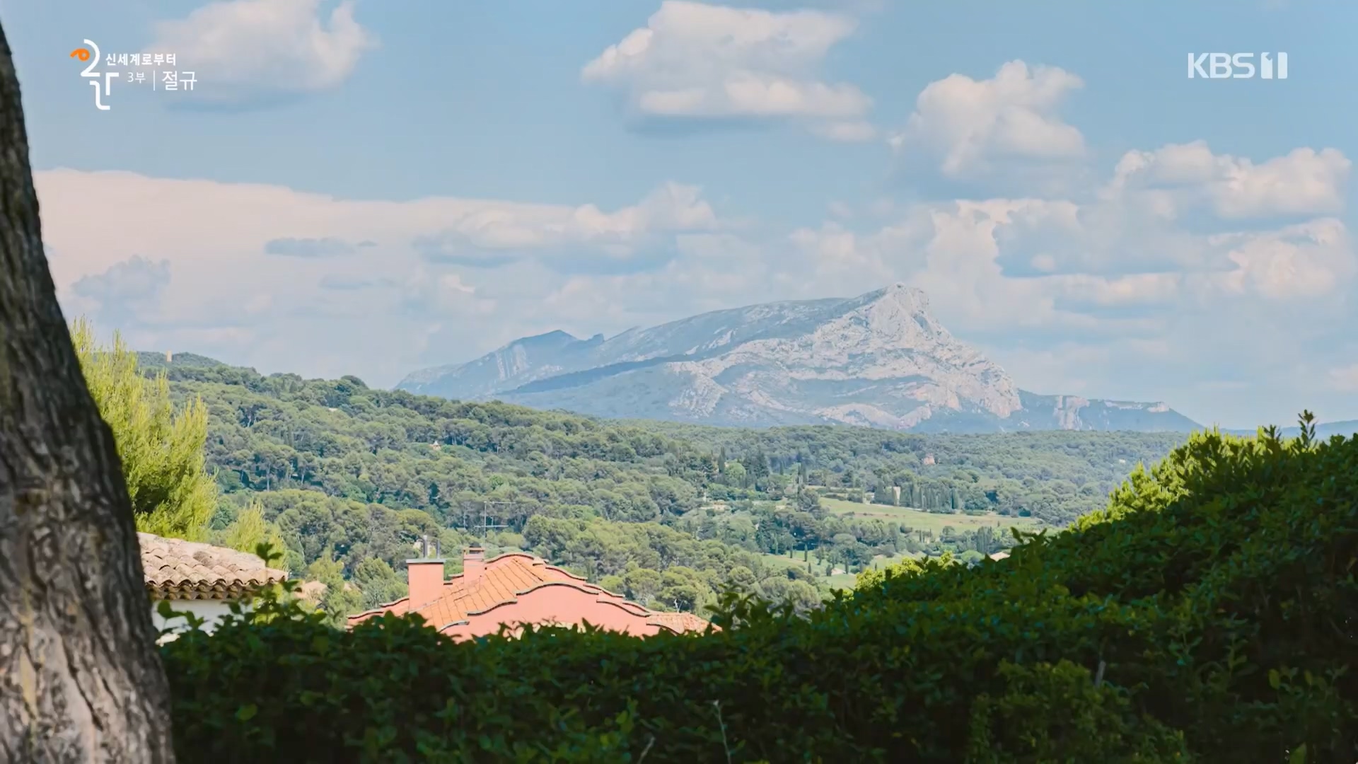 다큐 인사이트.E172.231123p.H264-F1RST.mp4_20231124_213011.587.jpg