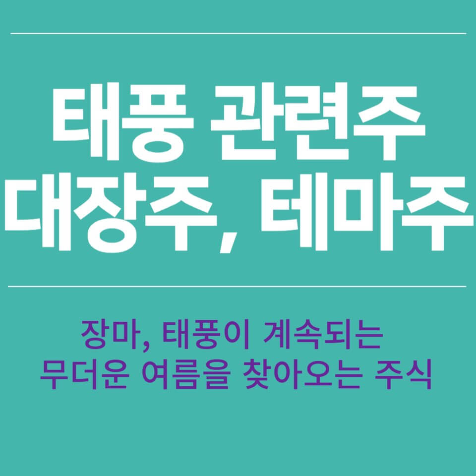 태풍 피해 관련주 대장주 테마주 총정리!