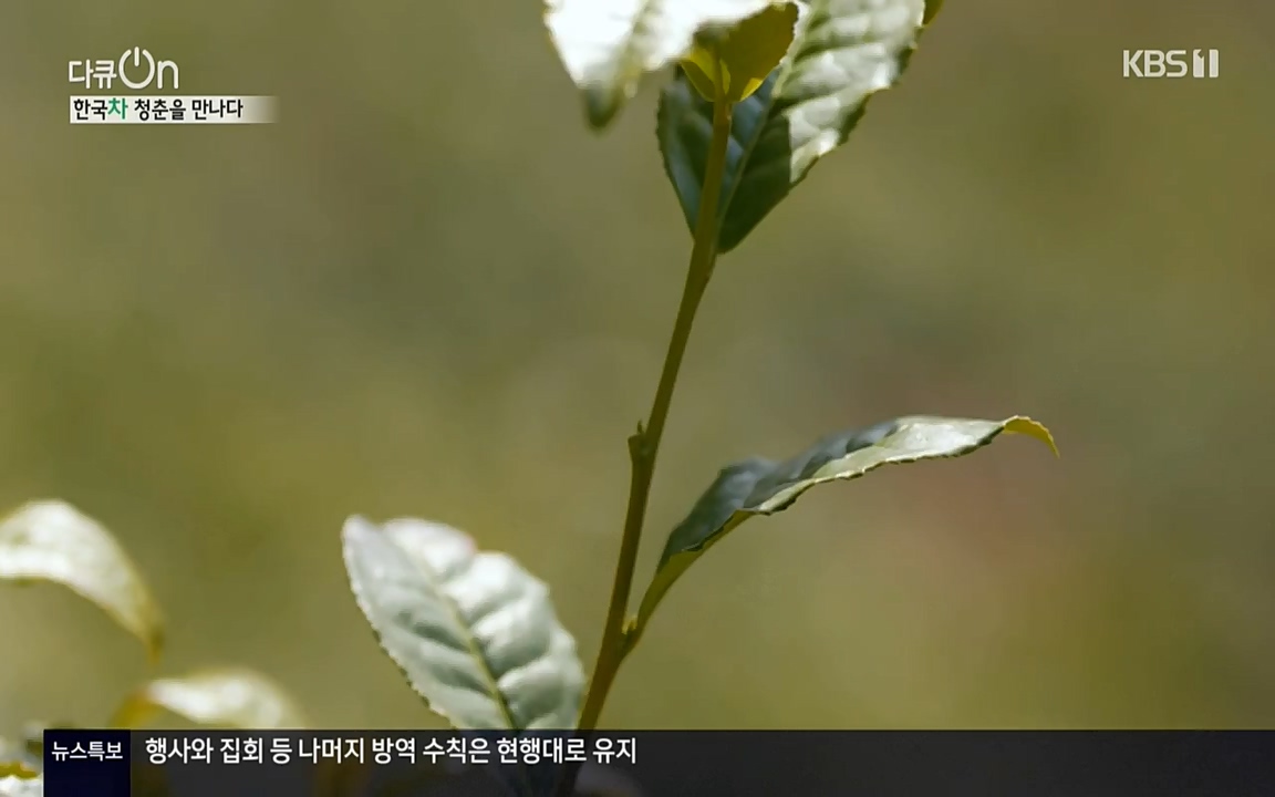 다큐 온.E133.220402p-NEXT.mp4_20220405_190338.759.jpg