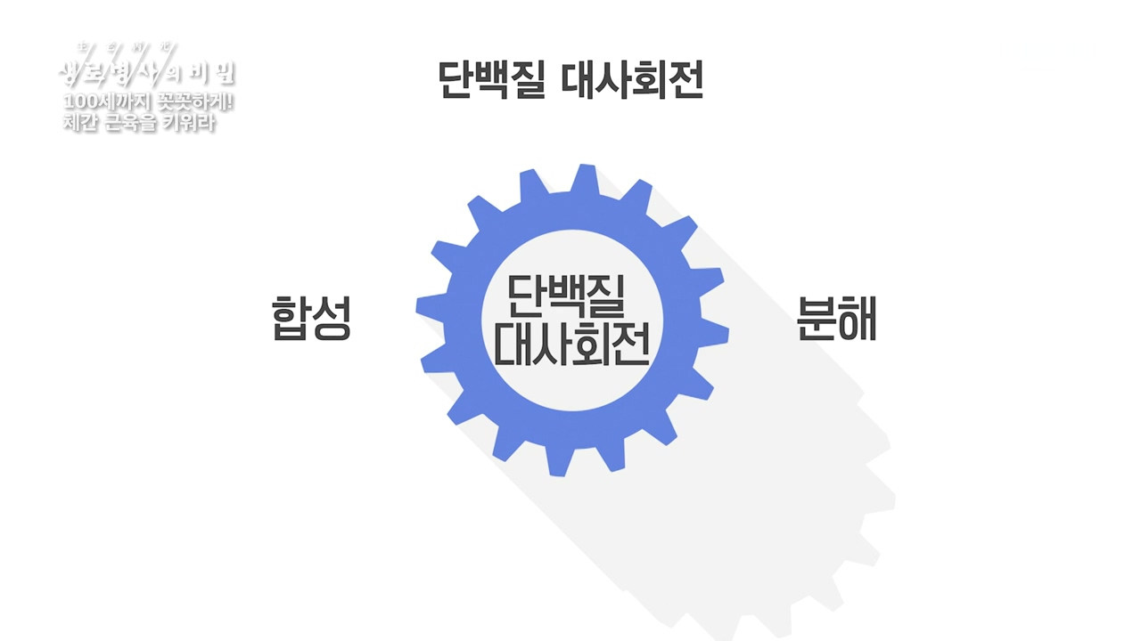 생로병사의 비밀.E885.231012p-NEXT.mp4_20231012_202954.157.jpg