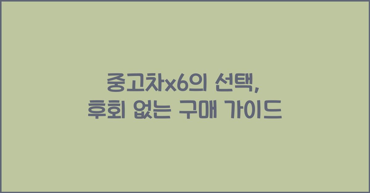 중고차x6