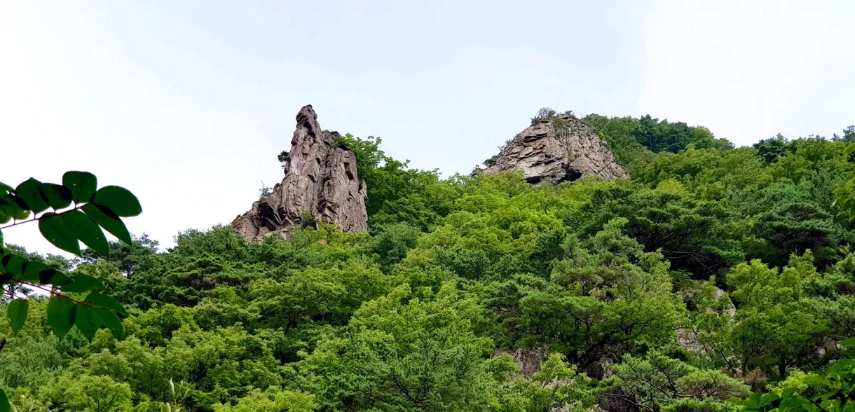 포항 동대산