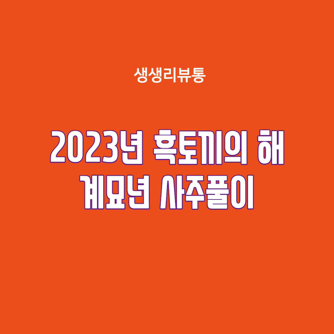  2023년 흑토끼의해 계묘년 사주풀이