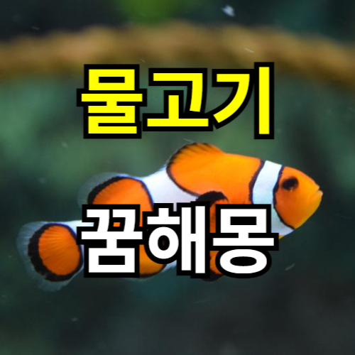 썸네일사진