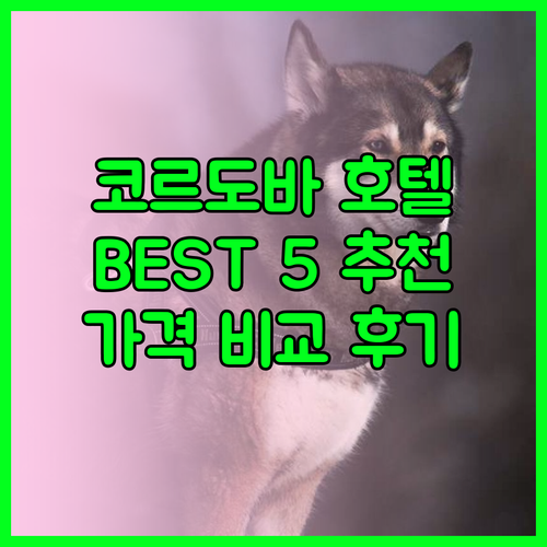 코르도바 여행 호텔 추천 BEST 5