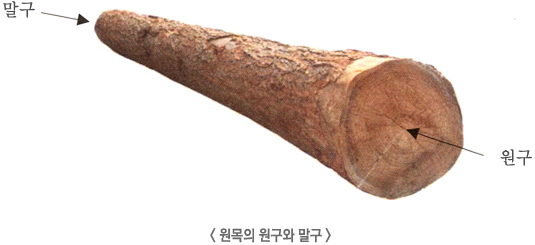  산림기능사 필기대비 - 목재의 물리, 화학적 구조
