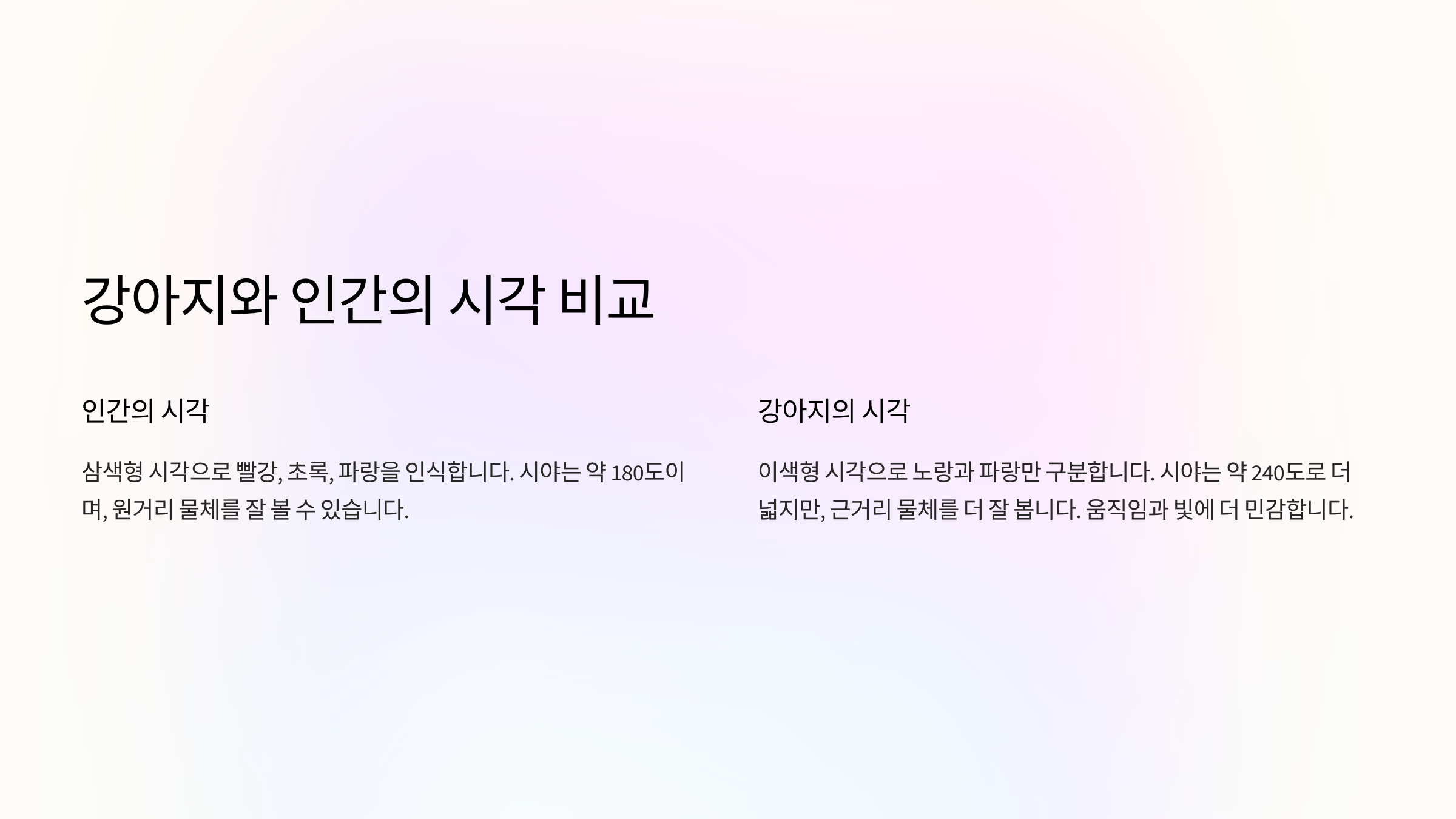 강아지의 시각과 인간 시각의 비교