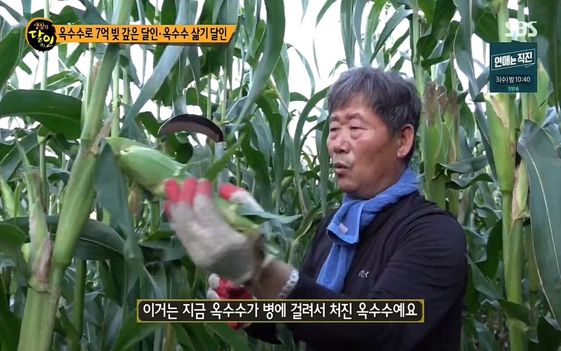 생활의 달인.E854.220802p-NEXT.mp4_20220802_200446.616.jpg