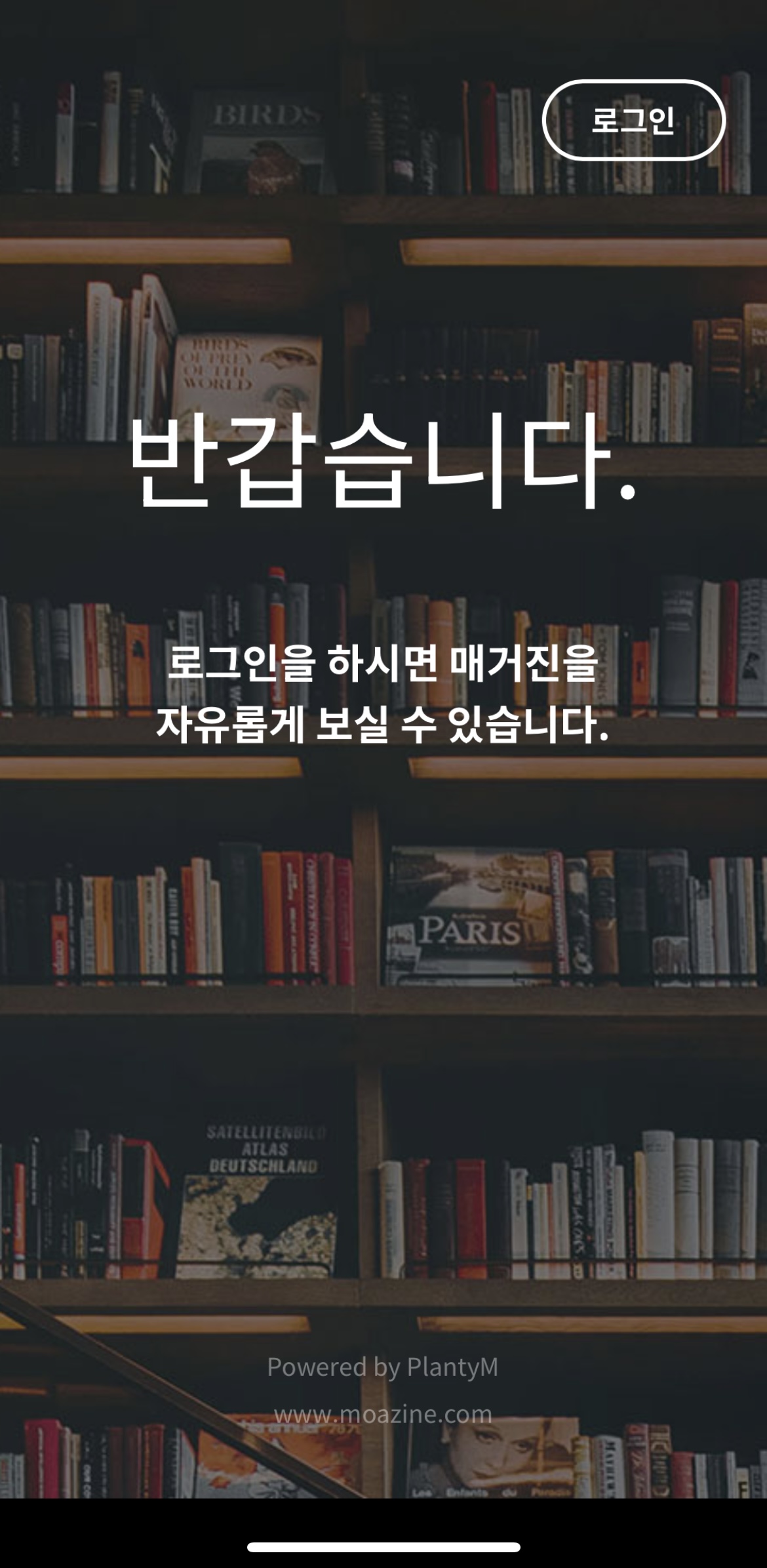 매거진