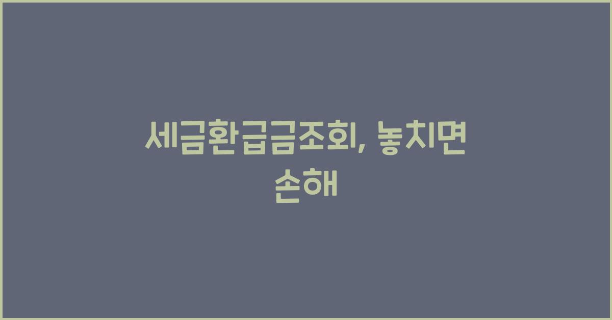 세금환급금조회