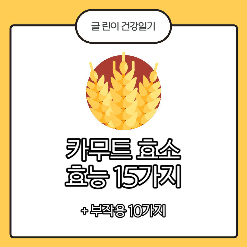  카무트 효소 효능 15가지