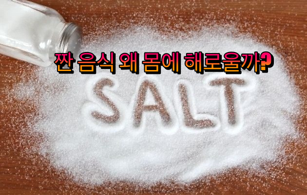  "짠 음식" 많이 먹으면 우리 몸이 우리에게 보내는 신호 7가지 | 짜게 먹으면 안 좋은 이유 7(건강)