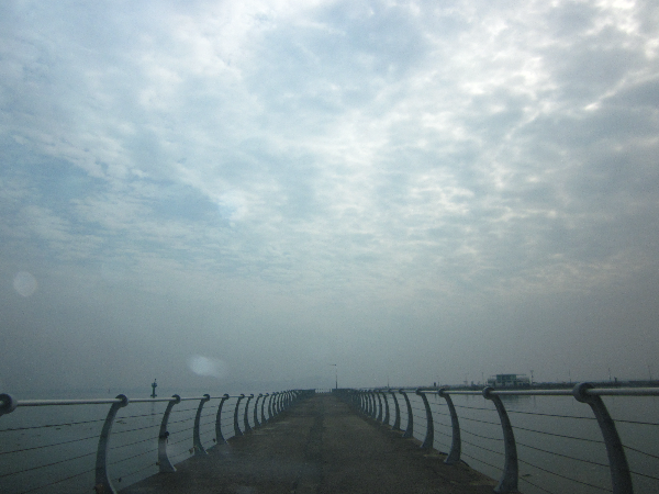 카페로 이어지는 길